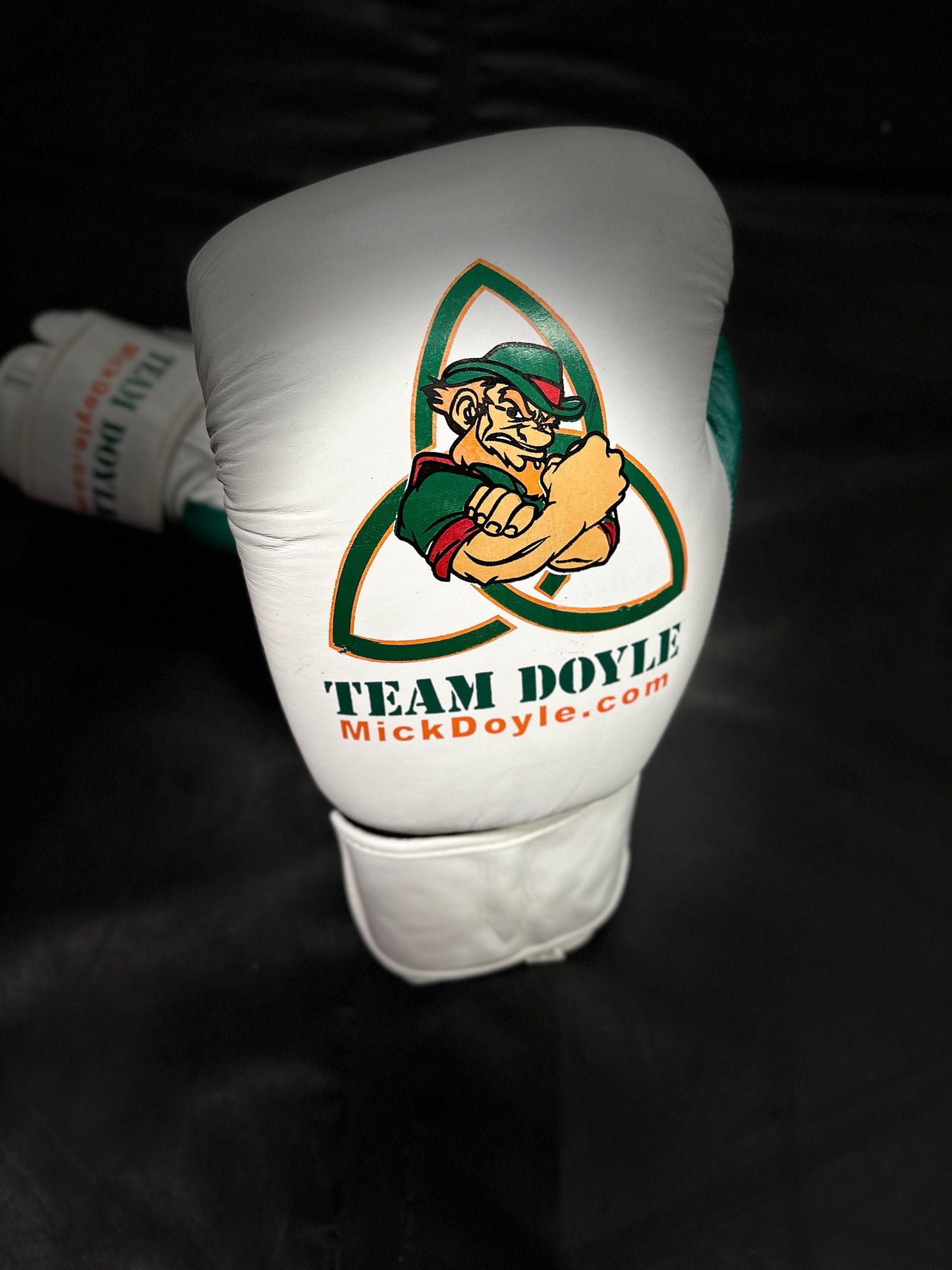 Team Doyle 16 oz. Boxing Gloves